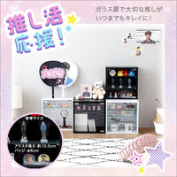 ホームテイスト コレクションキューブラック 浅型タイプ 幅347×奥行146×高さ345mm ホワイト QCLR-S14 1台（直送品）