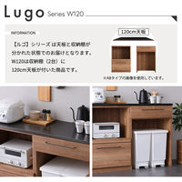 ホームテイスト ルゴ 特殊鋼板 キッチンカウンター オープン収納+ゴミ箱上カウンター ウォールナット SH-22-CKS120-AB 1台（直送品）