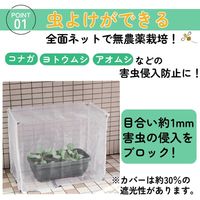【園芸用品】 DAIM まるごと虫よけ保温カバー 1セット