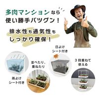 【園芸用品】 DAIM 多肉マンション ブラック 1個