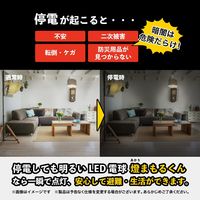 ティーエム 停電しても明るいLED電球 E26 50W形相当 防災電球 燈まもるくん 昼光色 TAL-690-1 1個