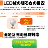 朝日電器 LED電球 ボール形G95 LDG4L-G-G2102 1個（わけあり品）