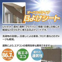 ウィキャン 多用途日よけシート M WJ-8145 1枚（わけあり品）