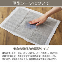 ペットシーツ 炭＋クエン酸 レギュラー 厚型 プレミアム 国産 80枚 1袋 ペットシート オリジナル（わけあり品）