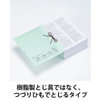 コクヨ アスクル 共同企画 背幅伸縮ファイル 紙製 つづりひもタイプ A4タテ 3冊 オリジナル（わけあり品）