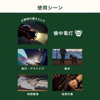 ドリテック 首かけライト ブラック  FLー147BK 1個