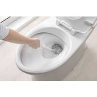 サンコー トイレブラシ 単品 DX 抗菌 サトミツ棒 1個 傷つきにくい 水だけで汚れが落とせる びっくりフレッシュ  BA-62
