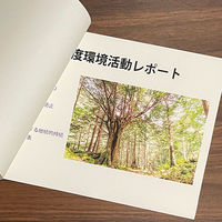 長門屋商店 美彩紙 A4<81g> ナ-912 1セット(500枚:100枚入×5パック)（直送品）