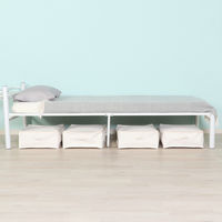 不二貿易 魅せる収納ケース S 52866 1個