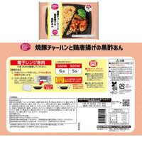 阪急デリカ お弁当プレート 3種×各1個(和・洋・中) 1セット(3種計3個)（直送品）