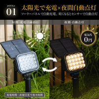 武田コーポレーション 2WAYスポットライト2P LN-S-2WSP2P 1箱(8個入)（直送品）