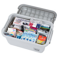 JEJアステージ　パッキン付頑丈ボックス640　ライトグレー　　1個