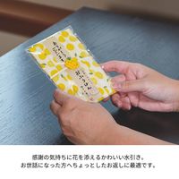 おふろはん 入浴剤とはんかち 椿 1セット（1個×3） プレーリードッグ