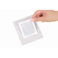 ピースエイト 足裏樹液シート 30枚入（15足分）1箱 ジーエス・サイエンス