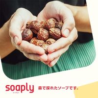 ソープリー Soaply ファブリックソフナー サンダルウッド＆ピーチ 750mL 1個 柔軟剤 Soaply