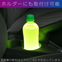 セイワ USBブラックライトLEDイルミ4 車用 F-343 1個（直送品）