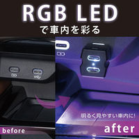 セイワ レインボーイルミ2USBコネクタ CtoC×2 イルミ F-349 1個（直送品）