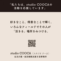 ティッシュペーパー ボックス 150組（300枚）1個（5箱入）studio COOCAティシュ150組5P 坪野谷紙業