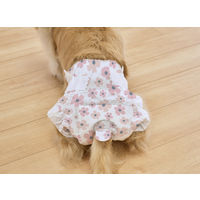 ペット用おむつ ピタフィット 女の子用 XS 超小～小型犬サイズ 38枚入 1袋 アイリスオーヤマ