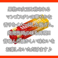 ロッテ マンゴスチンガム 9枚入 1セット（1個×15） 板ガム 個包装