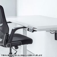 サンワサプライ e電動昇降デスク 受注生産品 幅1100×奥行650mm ホワイト ERD-ER11065W 1台（直送品）