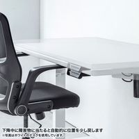 サンワサプライ e電動昇降デスク 受注生産品 幅1300×奥行700mm 薄い木目×ホワイト ERD-ER13070LM 1台（直送品）
