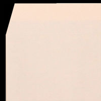 山櫻 カラー封筒 洋長3 カマス ヨミニクイECピンクCoC 100 枠ナシ YAMA-4913-0040 1袋(100枚入)（直送品）