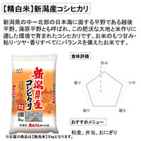 新潟県産 こしひかり 10kg(5kg×2袋) 【無洗米】 令和7年産 米 お米 コシヒカリ