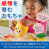 Learning　Resources　Big　Feelings　Pineapple　にこにこパイナップル　LER6　1個