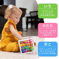 Fat　Brain　Toys　InnyBin　イニービン　FA251ー1　1個