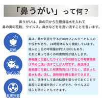 KAEI 鼻洗浄器 25480100 RAMEDICO KA700 1台（直送品）