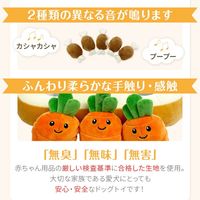 ノーズワーク わんパクっ！にんじん畑 1個 シンセーインターナショナル 犬用 おもちゃ