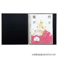リヒトラブ Collel　ギャラリークリヤーブック Ａ4 ホワイト N463ー0 1セット（1冊×10）
