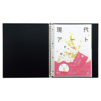 リヒトラブ Collel　ギャラリークリヤーブック Ａ4 ブラック N463ー24 1セット（1冊×10）
