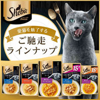 シーバ アミューズ お魚の贅沢スープ ささみ添え 40g 12袋 キャットフード 猫 ウェット パウチ