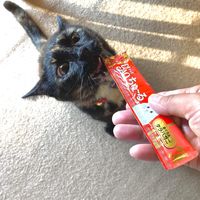 いなば CIAO チャオ ちゅーる 猫 まぐろ＆タラバガニ 国産（14g×4本）6袋 ちゅ～る キャットフード 猫用 おやつ