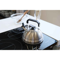 パール金属 笛吹きケトル 1.9L 早沸き チーノ ステンレス製 411045 1個（直送品）