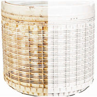 アイスリー工業 洗濯槽 除菌剤 カラフルな洗濯槽クリーン ピンク 426743 1個（直送品）