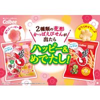 64gかっぱえびせん　紀州の完熟梅味 6袋 カルビー