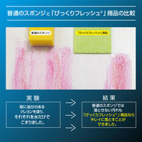 サンコー 抗菌糸使用 ブラシ びっくりフレッシュ 業務用ハンドドライヤークリーナー 水だけでも汚れが落とせる BH-69