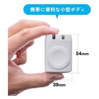 サンワサプライ  USB PD対応AC充電器（PD30W・Apple Watch充電） ACA-PD101（直送品）