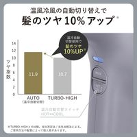 ドライヤー 速乾 大風速 1300W プロテクトイオン サロンクオリティ スモーキーグレー NIB500B-H テスコム 1個（直送品）