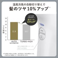 ドライヤー 速乾 大風速 1300W プロテクトイオン サロンクオリティ ホワイトアッシュ NIB500B-W テスコム 1個（直送品）