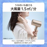 ドライヤー 大風量 速乾 1200W モイスチャーイオン I字型 ブラック TDX300A-K テスコム 1個