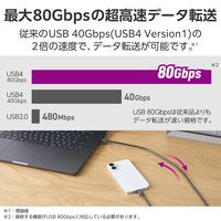 USB4 タイプCケーブル USB-C to C 1m PD 60W 黒 USB4-V2CC10NBK エレコム 1個（直送品）