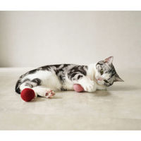 Mofu ころころ ベリーベリー 羊毛フェルトボール 1箱（3個セット）エイムクリエイツ 猫 おもちゃ