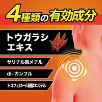 ホルキスS温感 24枚 テイコクファルマケア 腰痛 関節痛 肩こり【第3類医薬品】