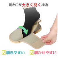 竹虎 転倒予防シューズつま先つき うぐいす 3L 091286 1足