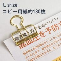 サンケーキコム リーンクリップ ゴールド Ｌ LC-L10GD 1セット（100個：10個入×10箱）