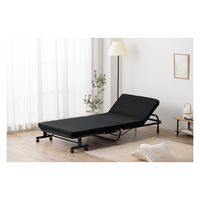 アイリスオーヤマ 折りたたみベッド OTB-KRR ブラック 1台（直送品）